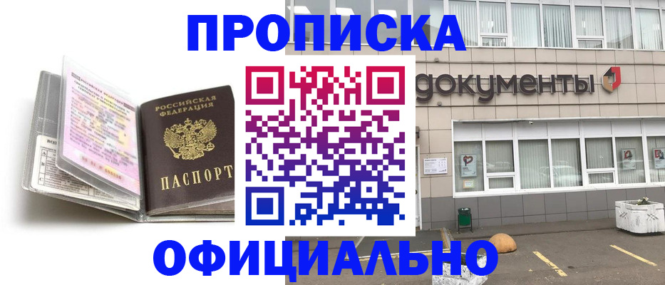 прописка поиск в Камышине