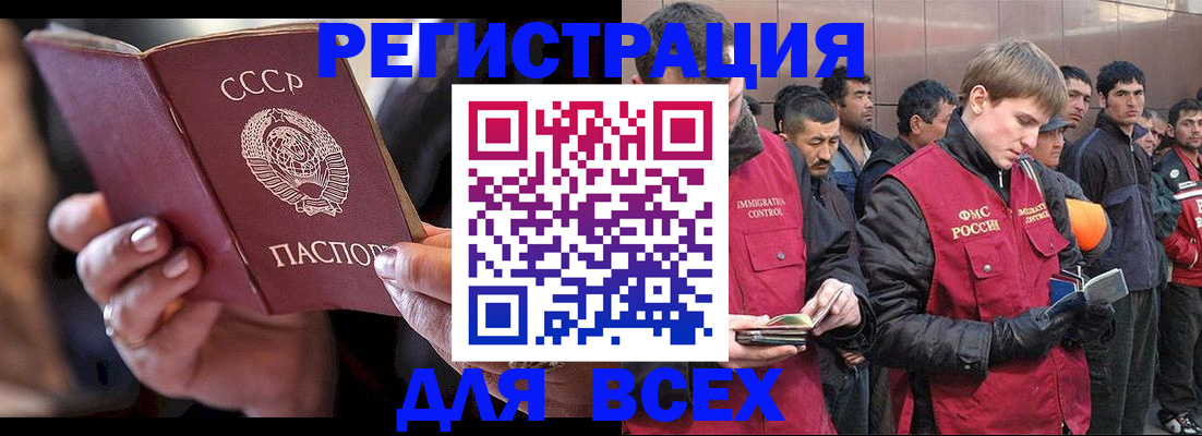 прописка поиск в Камышине